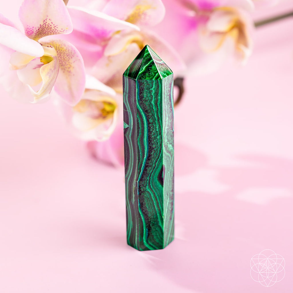 Malachite Crystal Point – Transformation & Healing Stone