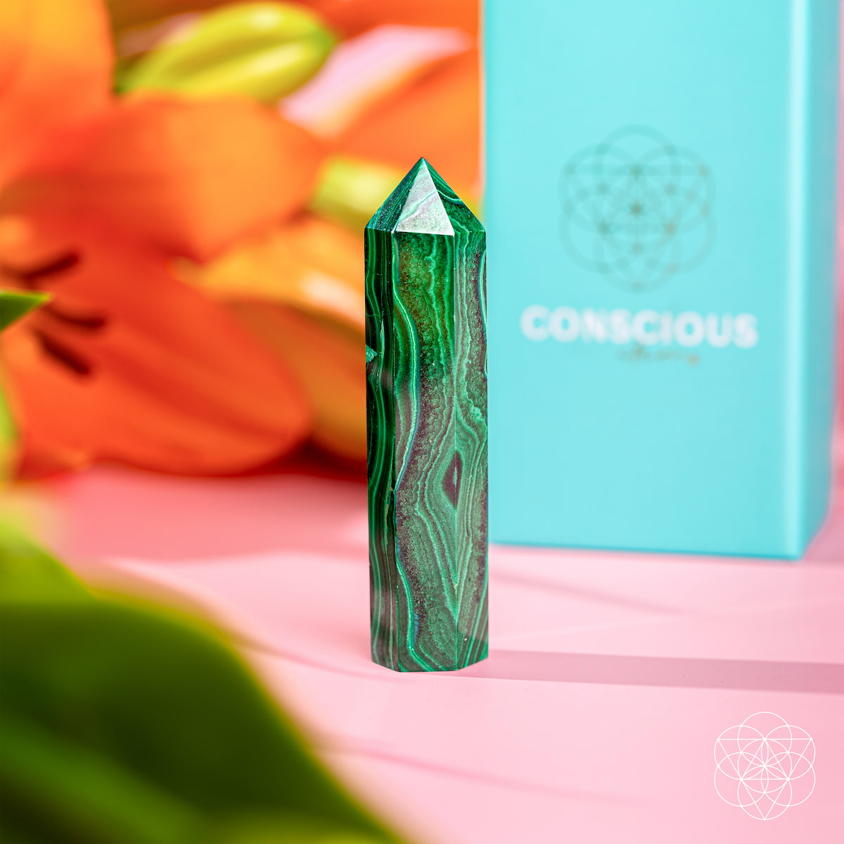 Malachite Crystal Point – Transformation & Healing Stone
